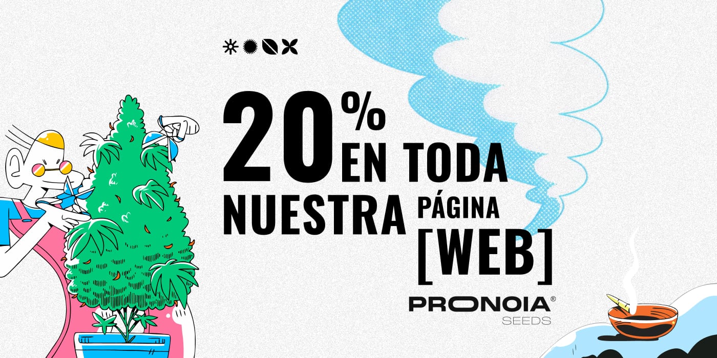 ¡Aprovecha el Cyberday en Pronoia!